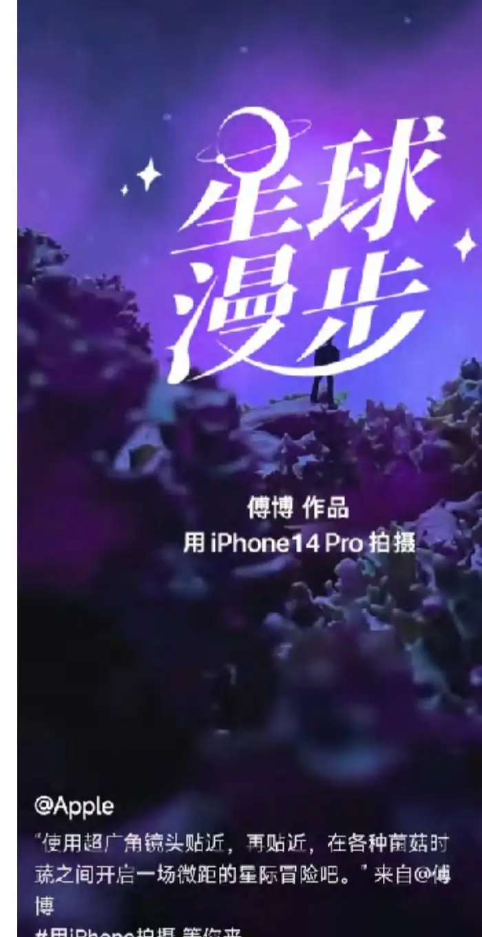 Shot on iPhone 14 Pro by Fu Bo